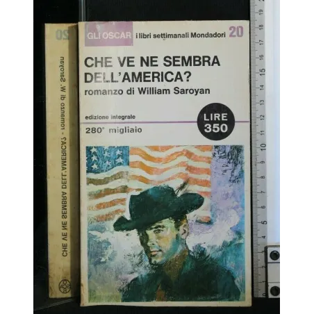 CHE VE NE SEMBRA DELL'AMERICA?