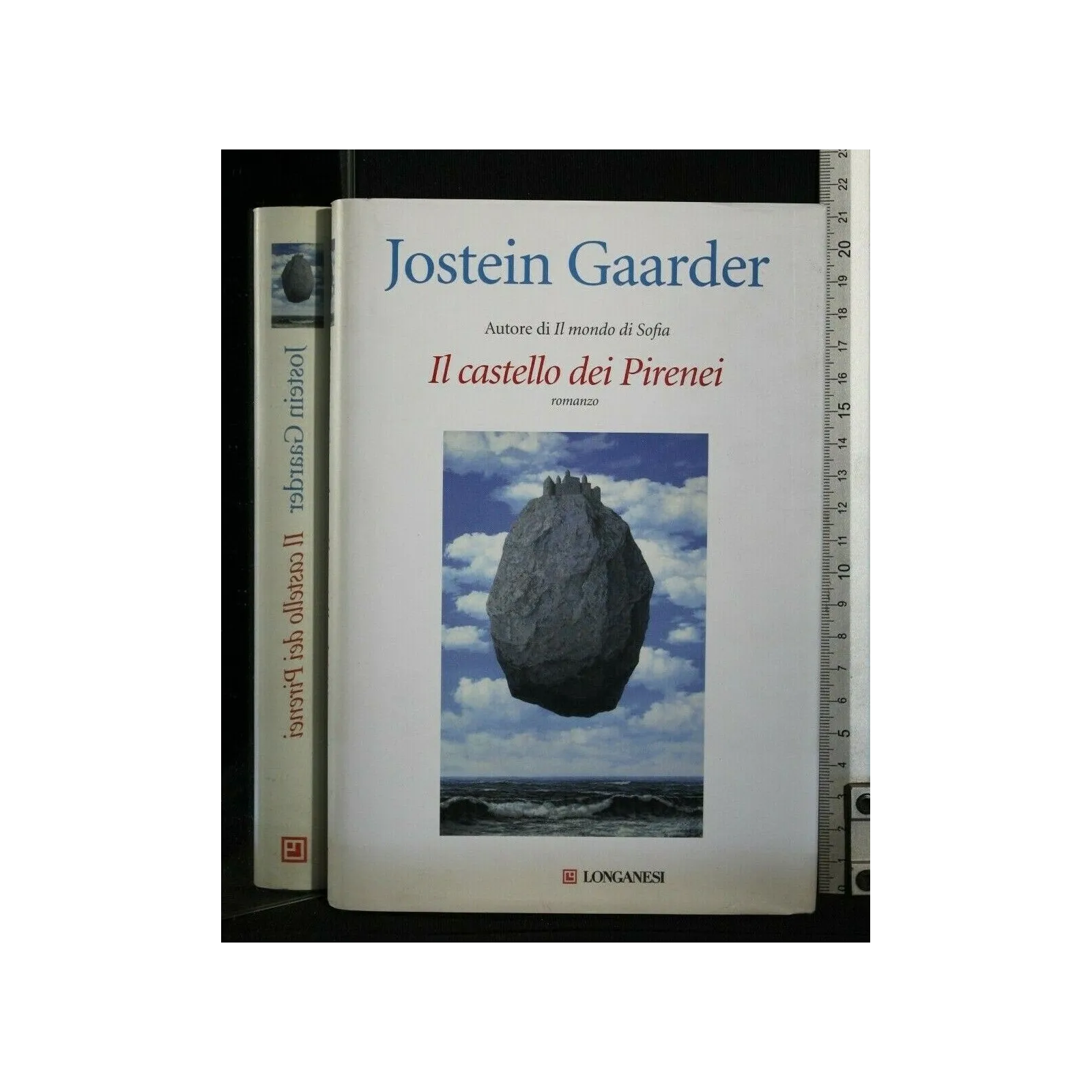 IL CASTELLO DEI PIRENEI