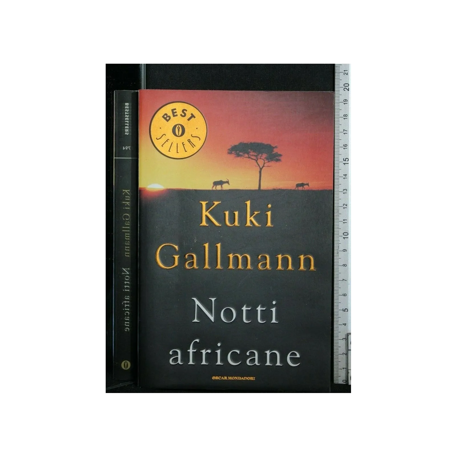 NOTTI AFRICANE _x000D_