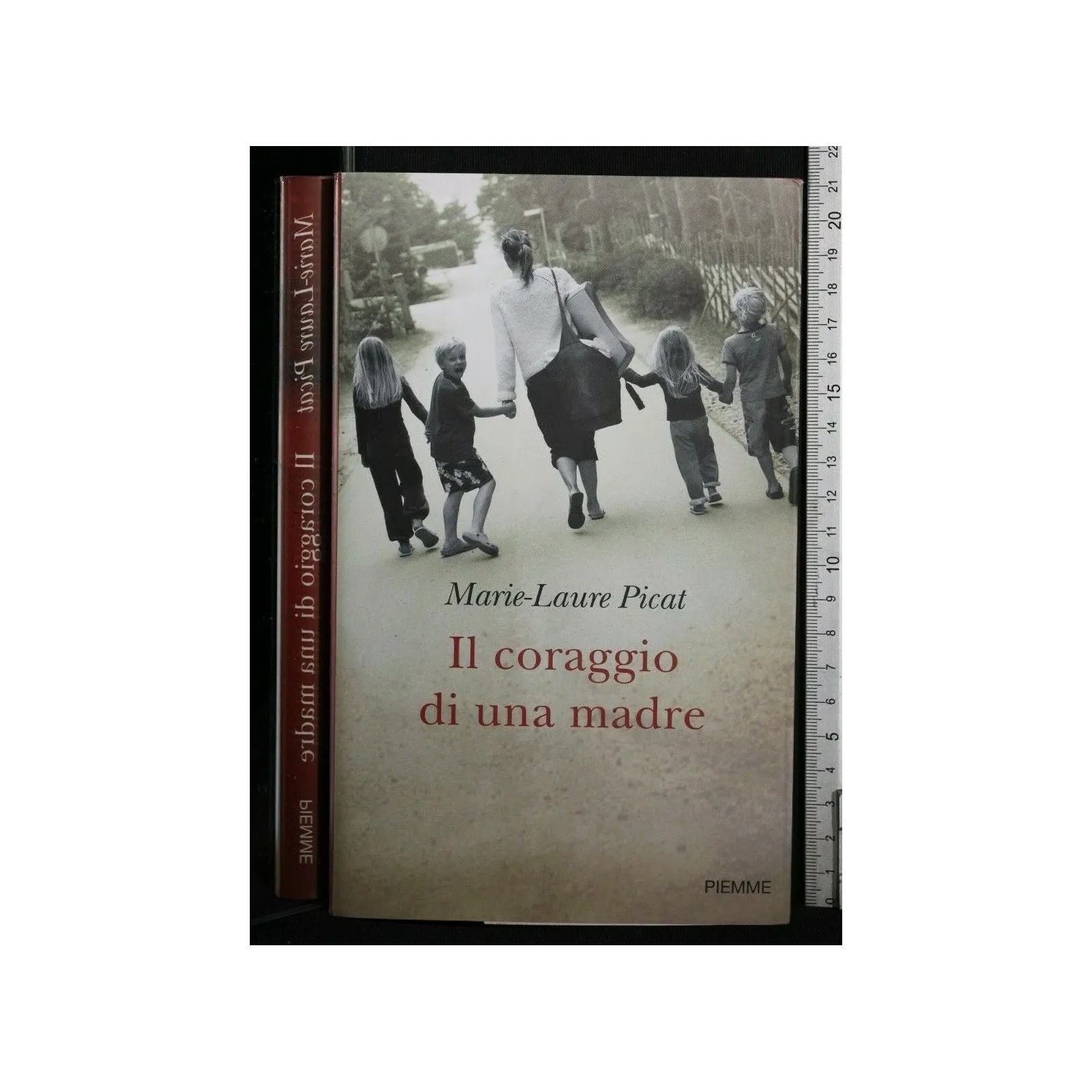 IL CORAGGIO DI UNA MADRE _x000D_