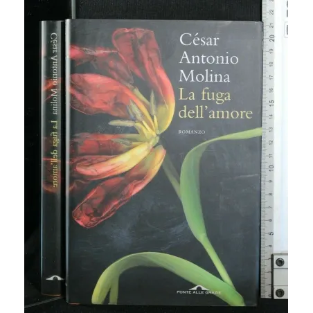 LA FUGA DELL'AMORE