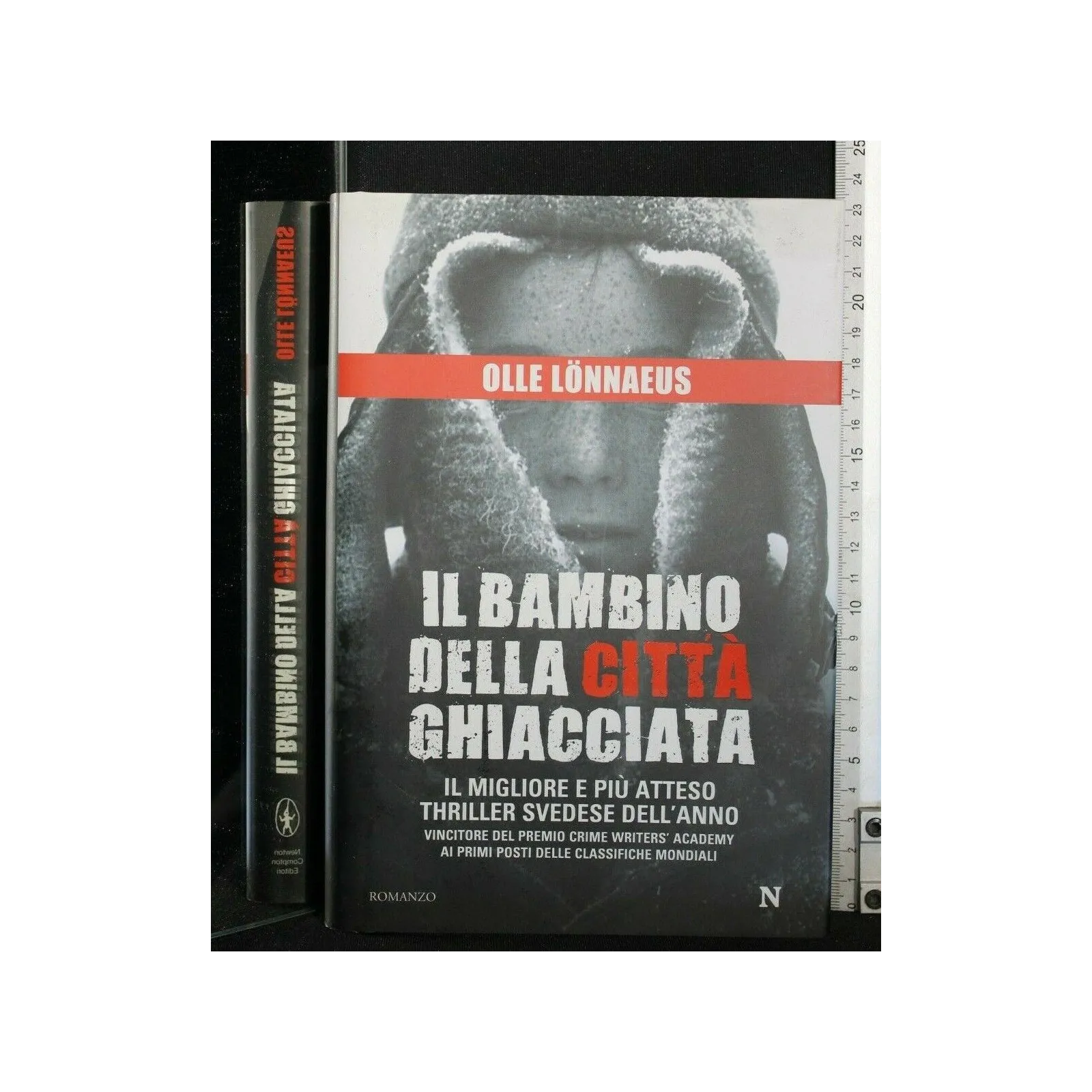 IL BAMBINO DELLA CITTA' GHIACCIATA