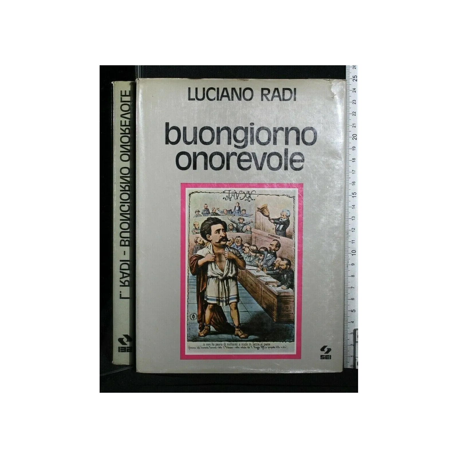 BUONGIORNO ONOREVOLE