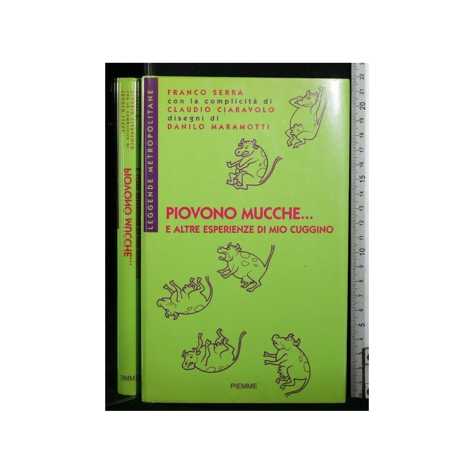 PIOVONO MUCCHE...E ALTRE ESPERIENZE DI MIO CUGGINO