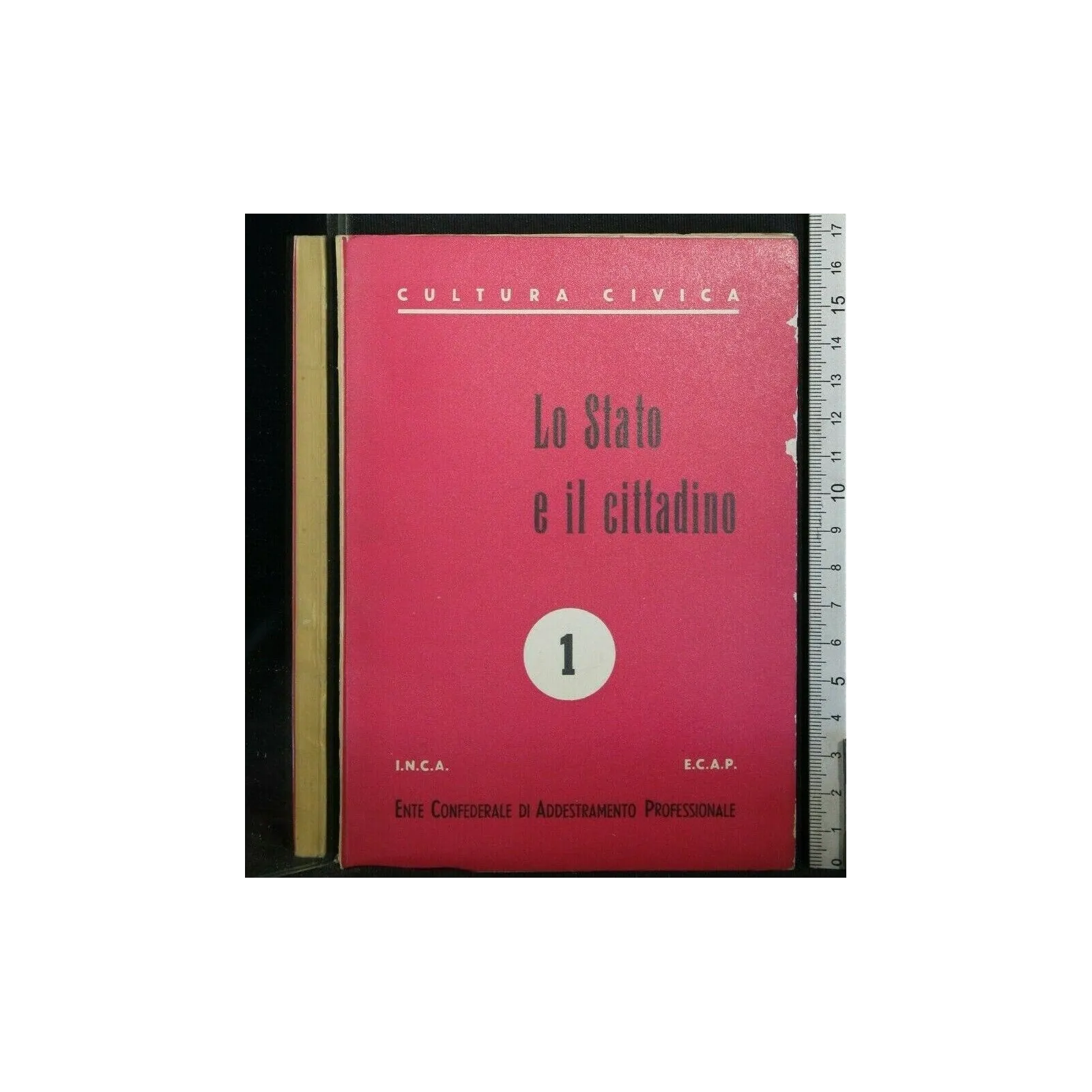 LO STATO E IL CITTADINO