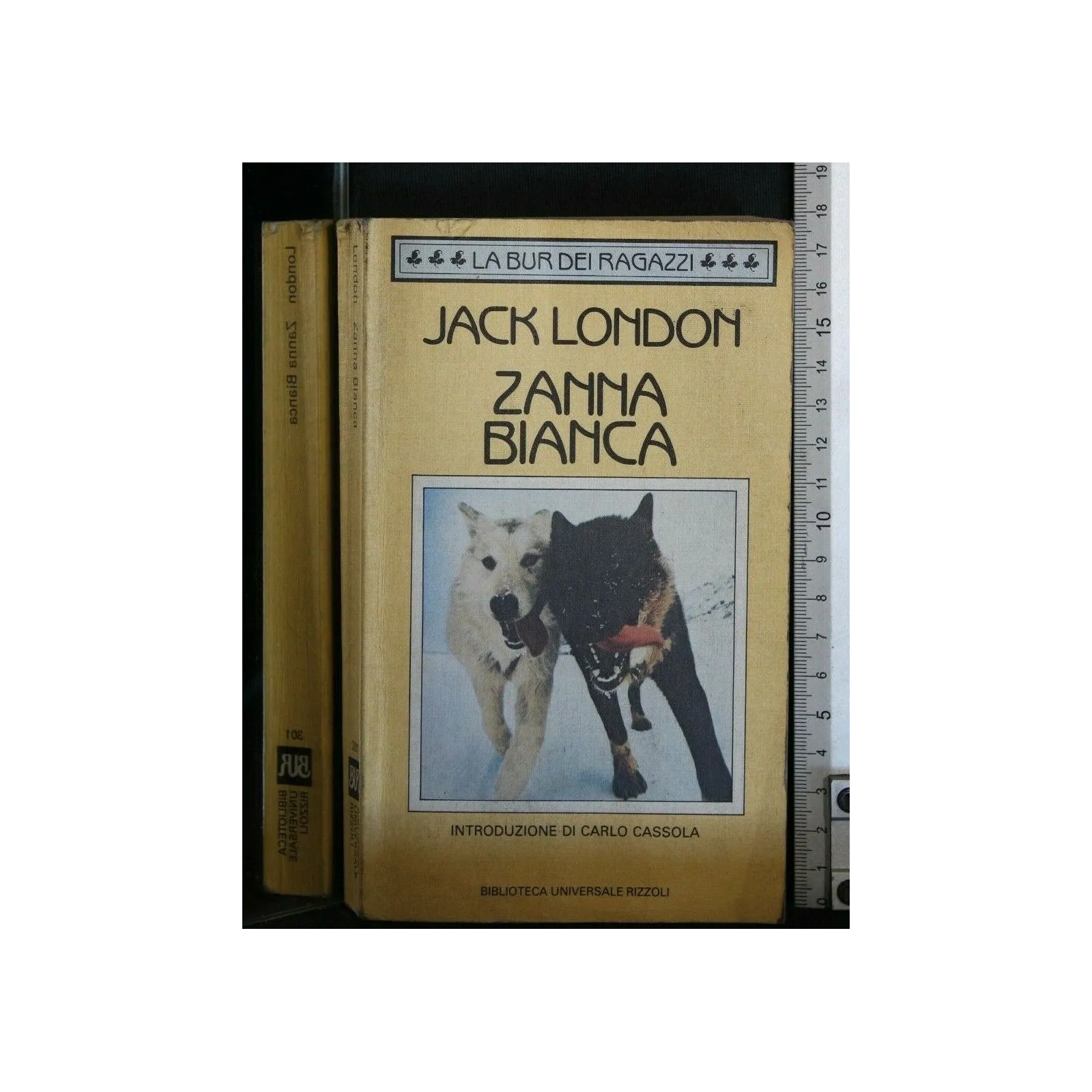 ZANNA BIANCA