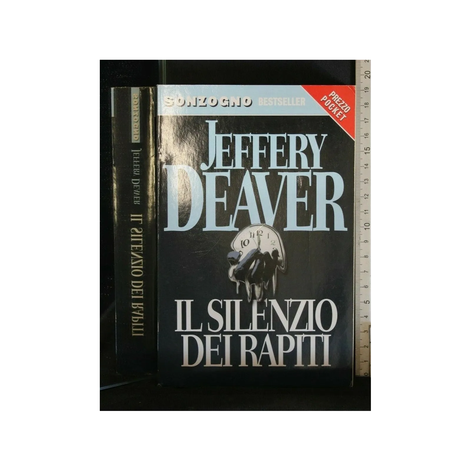 IL SILENZIO DEI RAPITI