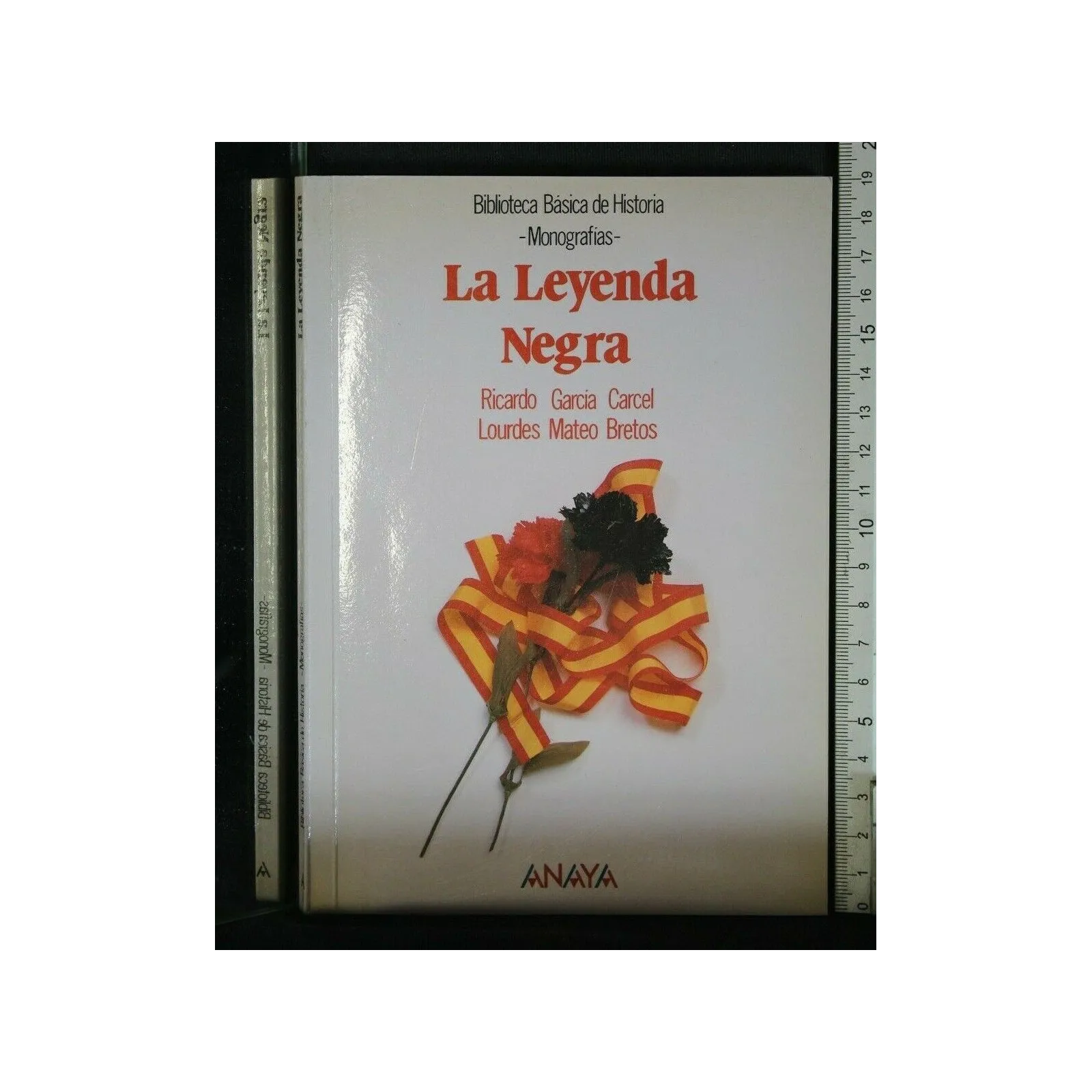 LA LEYEDA NEGRA