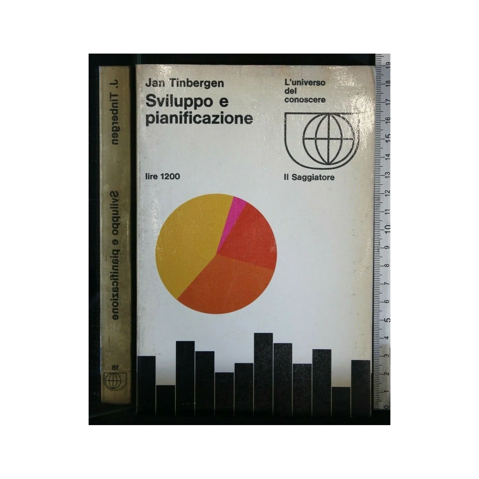 SVILUPPO E PIANIFICAZIONE