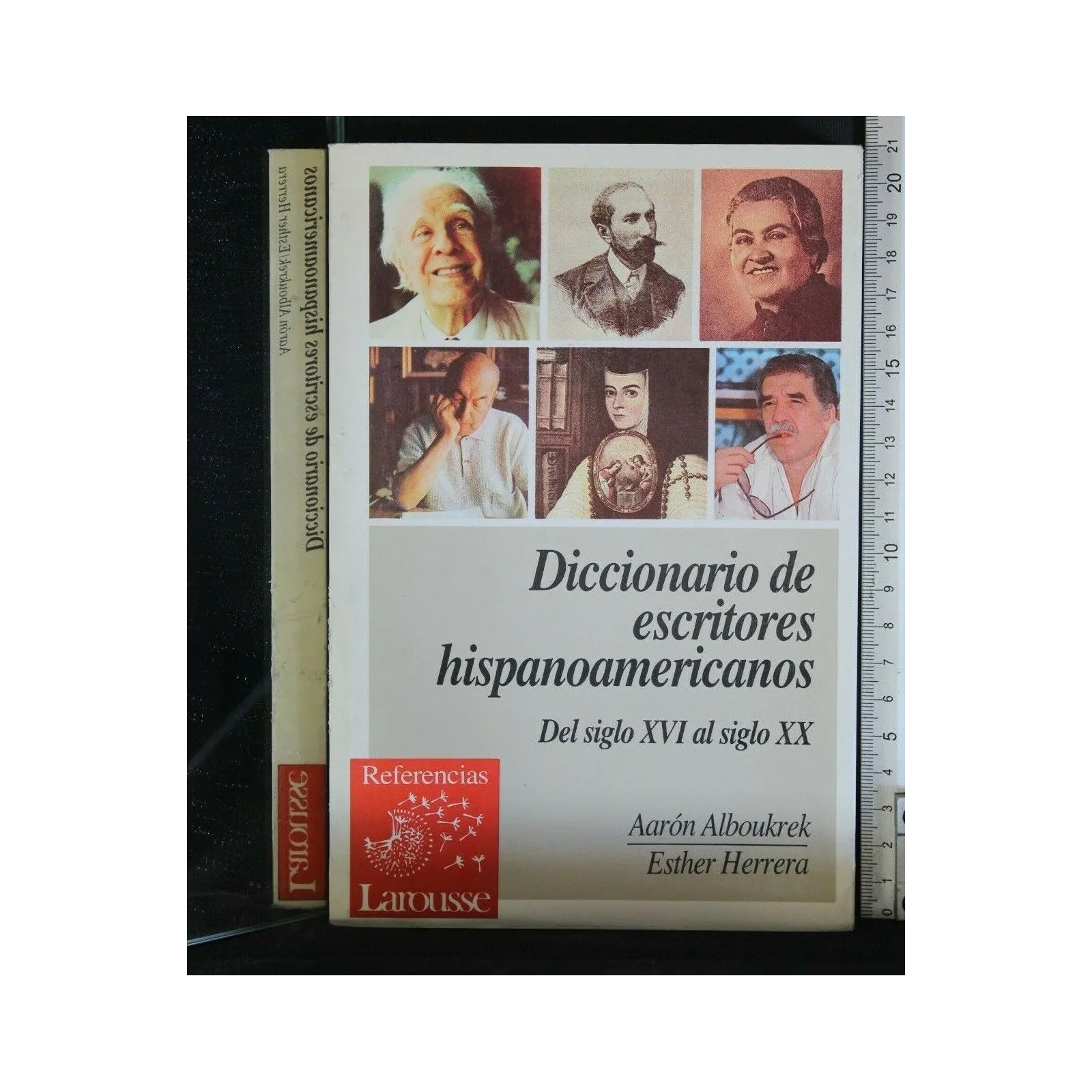 DICCIONARIO DE ESCRITORES HISPANOAMERICANOS