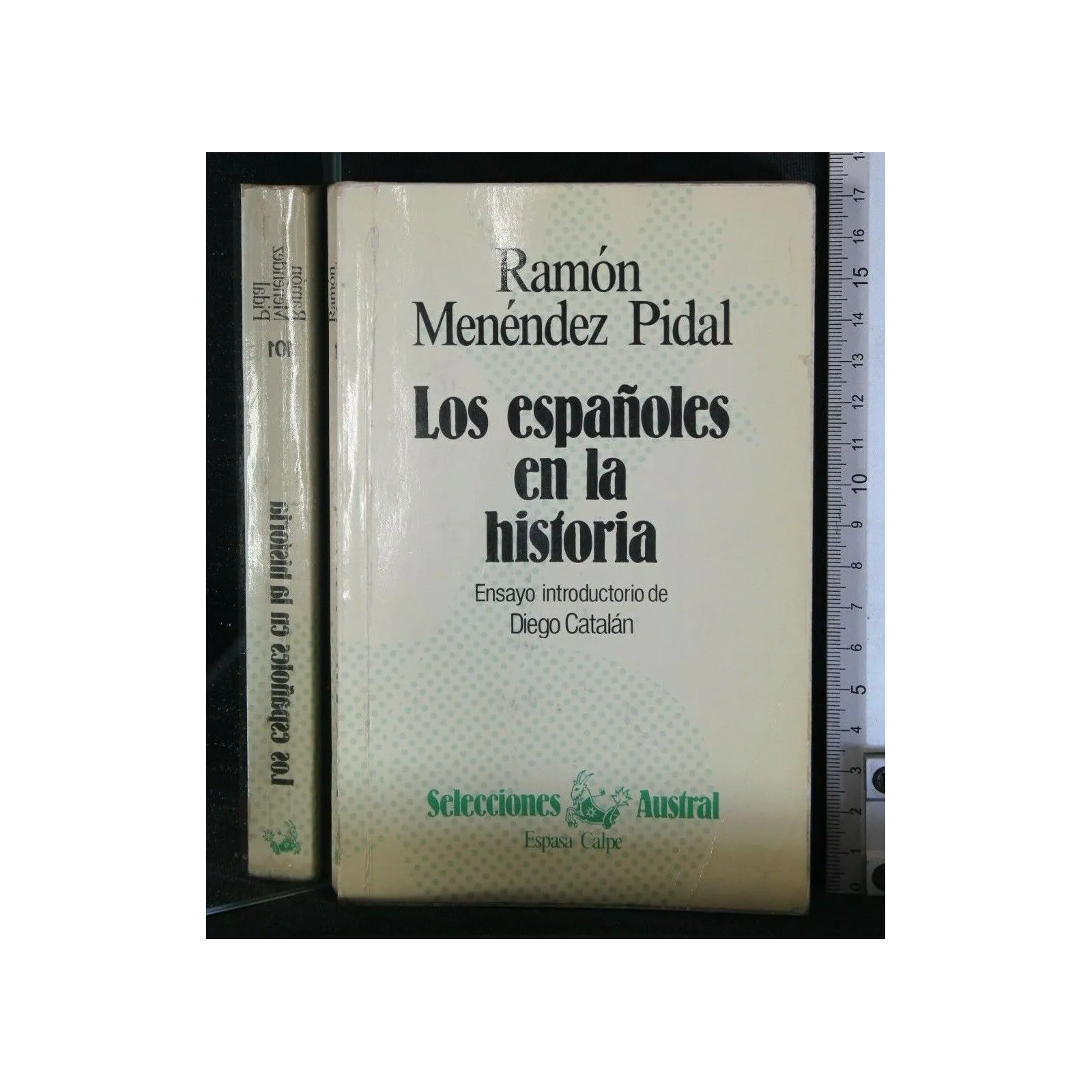 LOS ESPANOLES EN LA HISTORIA