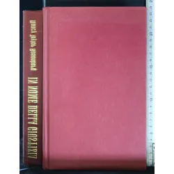 IN NOME DELLA GIUSTIZIA
