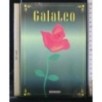 GALATEO