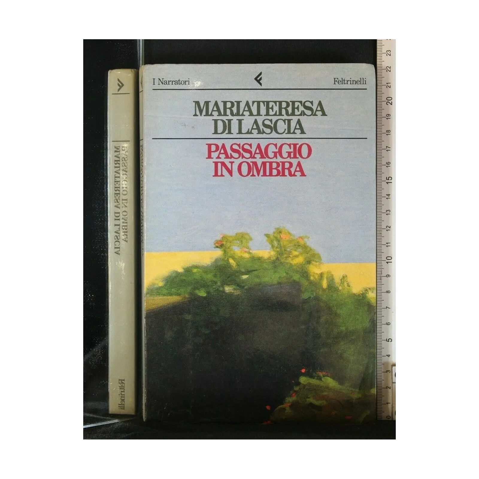 PASSAGGIO IN OMBRA