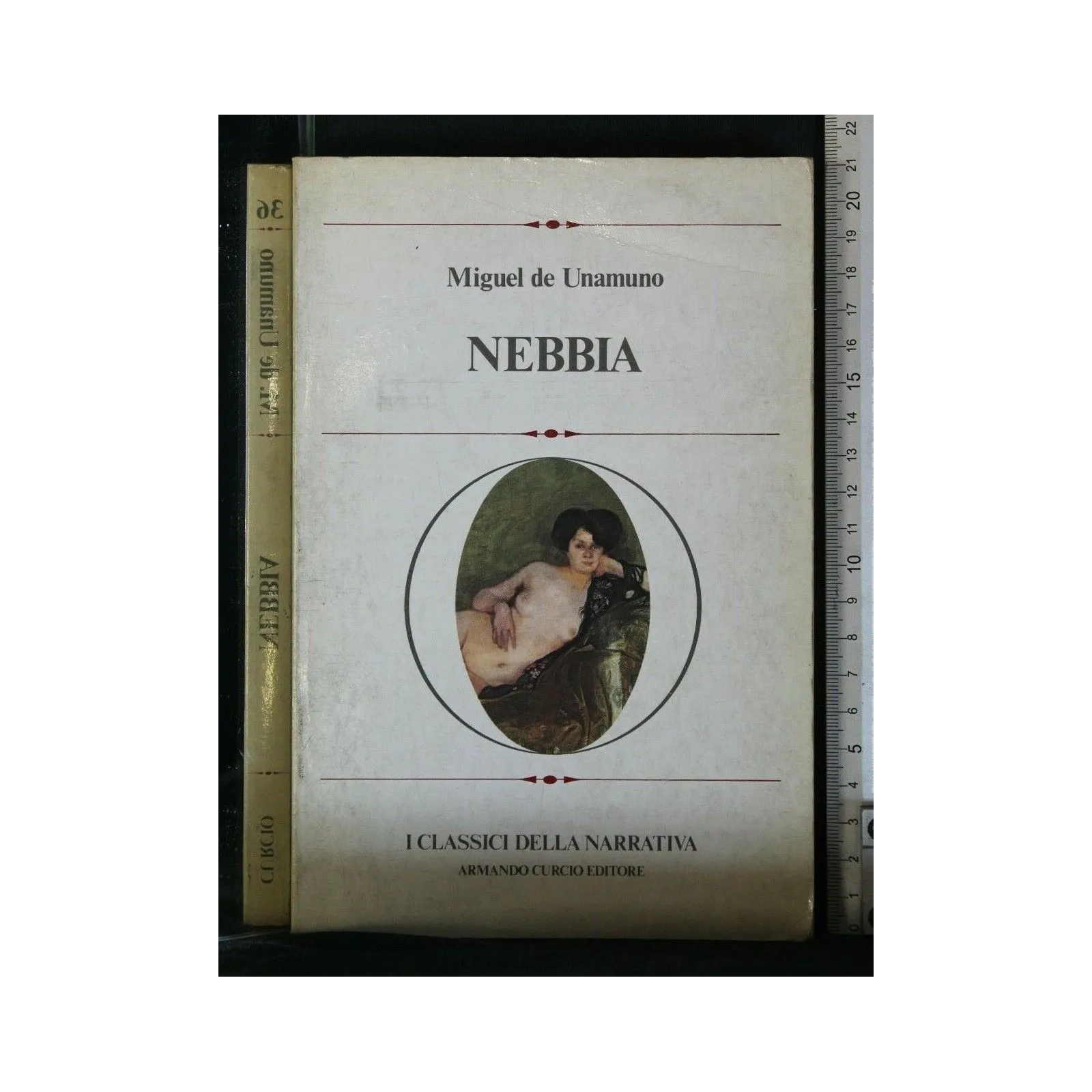 NEBBIA _x000D_