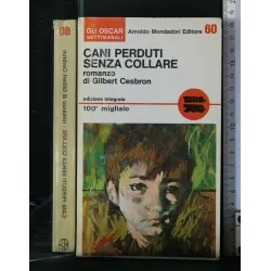 CANI PERDUTI SENZA COLLARE