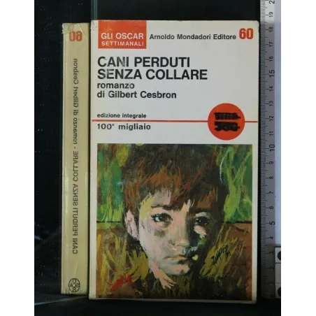 CANI PERDUTI SENZA COLLARE