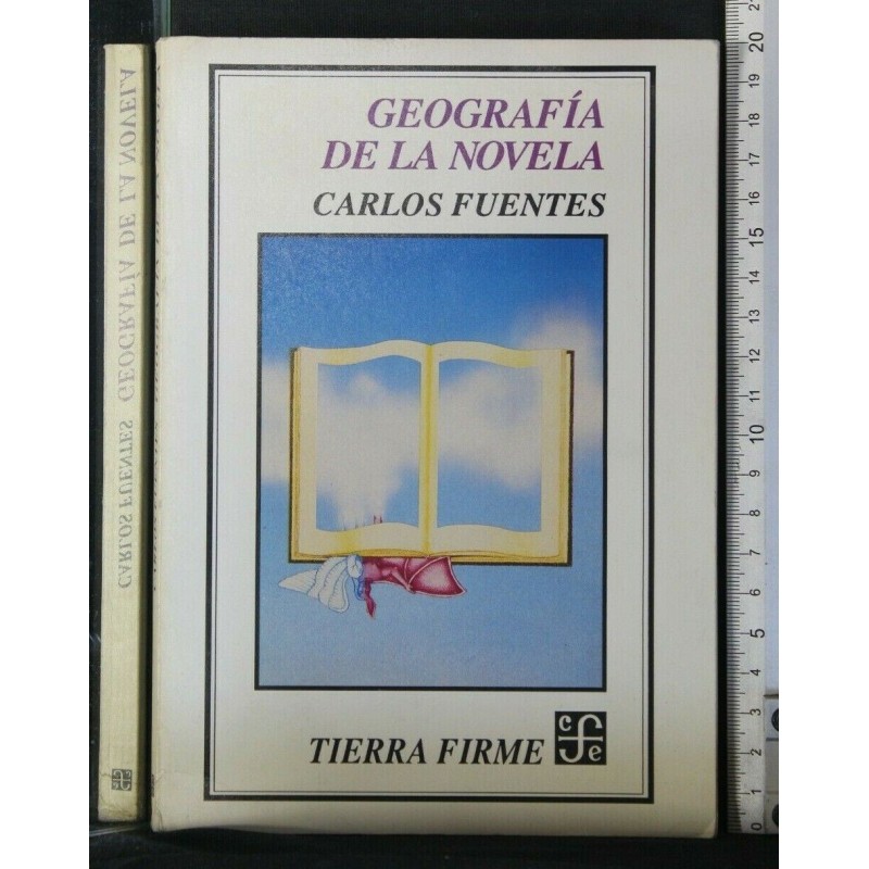 GEOGRAFIA DE LA NOVELA