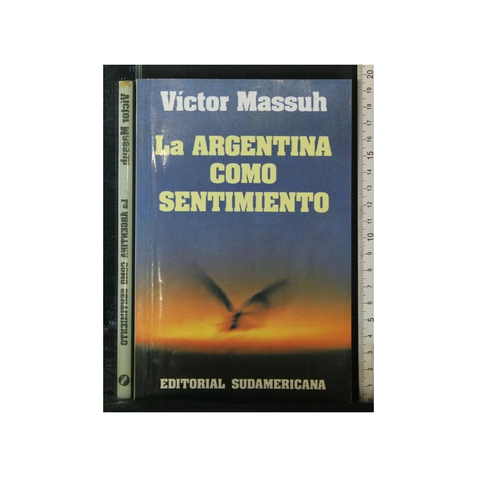 LA ARGENTINA COMO SENTIMIENTO