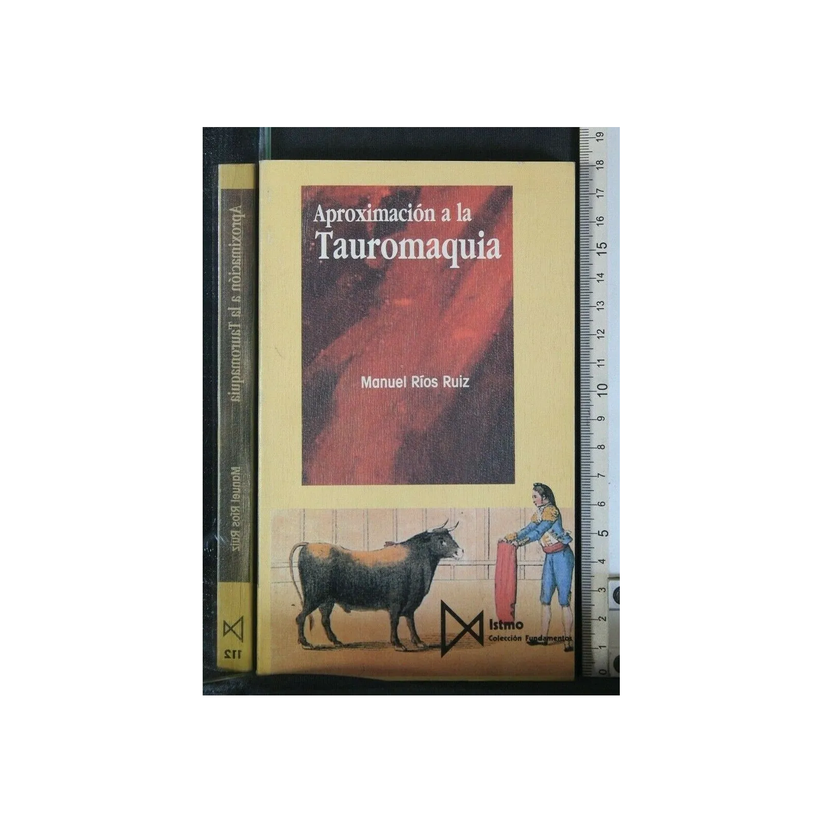 APROXIMACION A LA TAUROMAQUIA