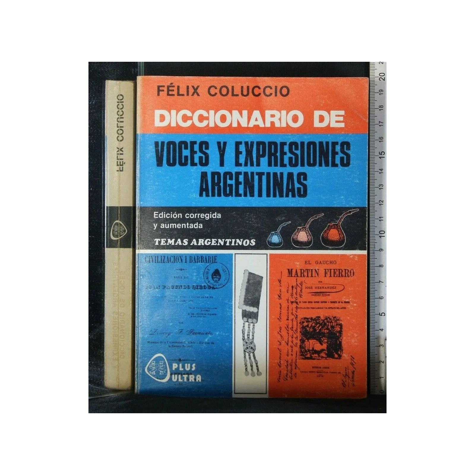 DICCIONARIO DE VOCES Y EXPRESIONES ARGENTINAS