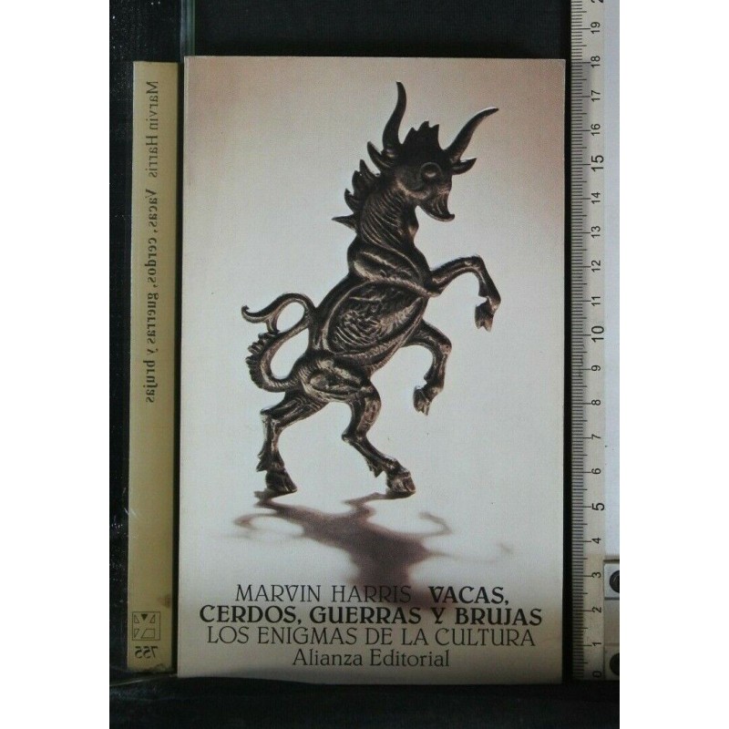 LOS ENIGMAS DE LA CULTURA