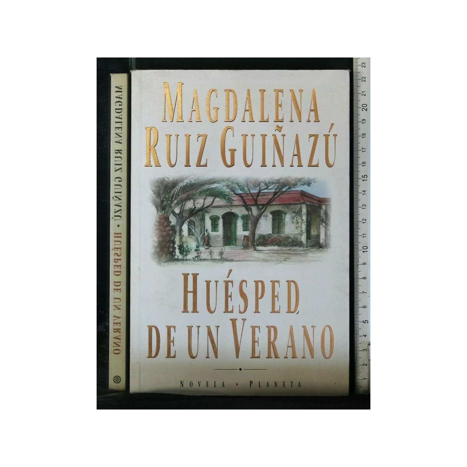 HUESPED DE UN VERANO