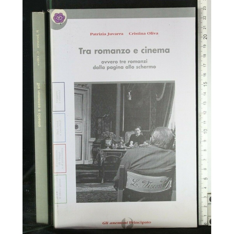 TRA ROMANZO E CINEMA