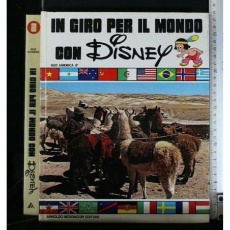 IN GIRO PER IL MONDO CON DISNEY SUD AMERICA 6