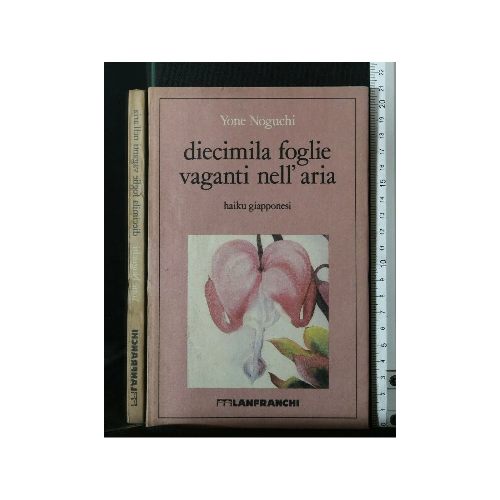 DIECIMILA FOGLIE VAGANTI NELL'ARIA