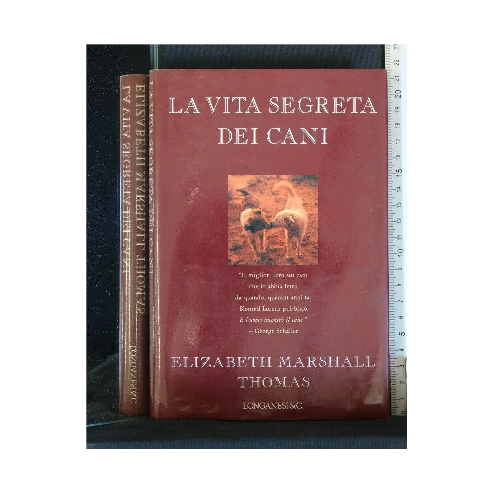 LA VITA SEGRETA DEI CANI