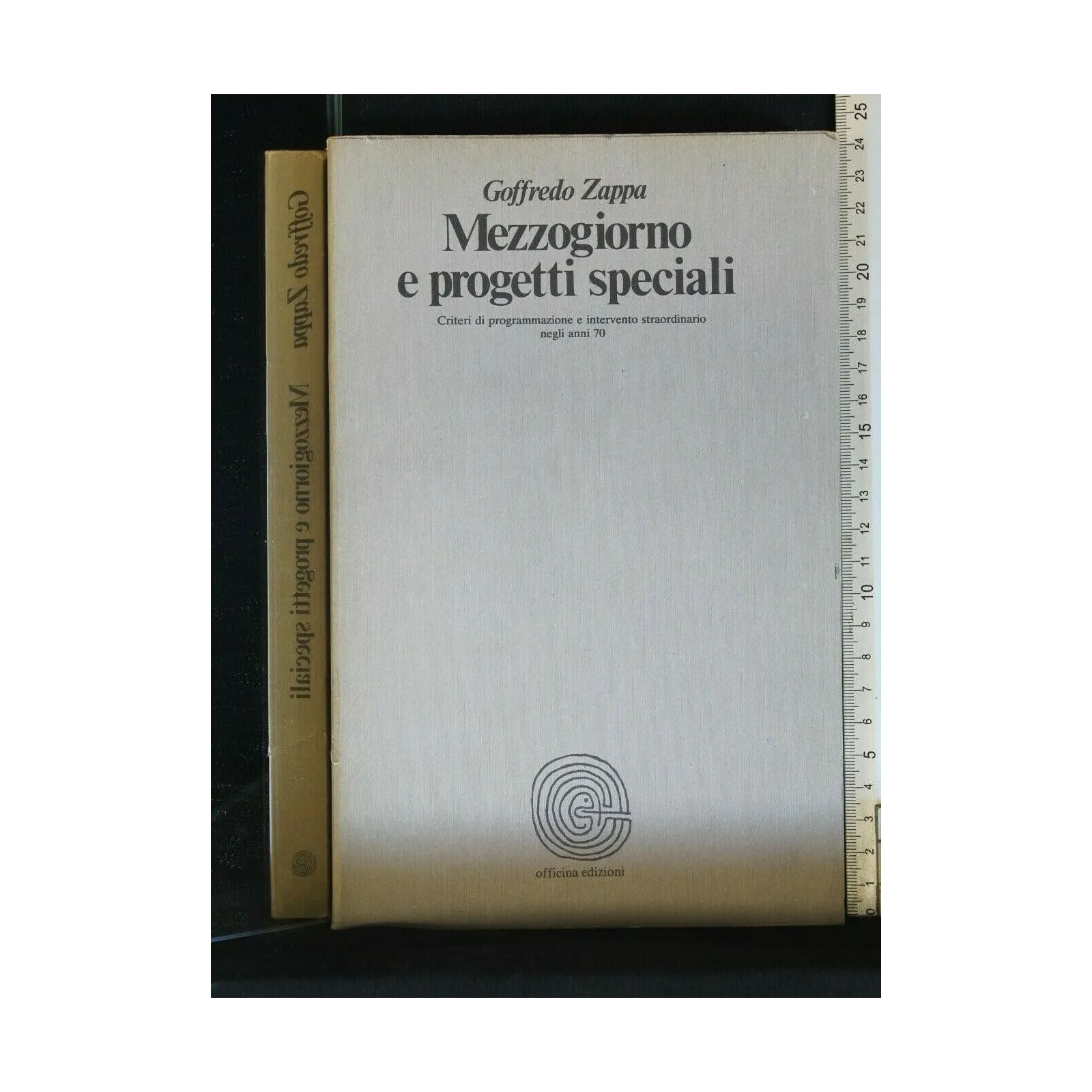 MEZZOGIORNO E PROGETTI SPECIALI
