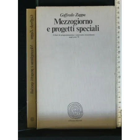 MEZZOGIORNO E PROGETTI SPECIALI