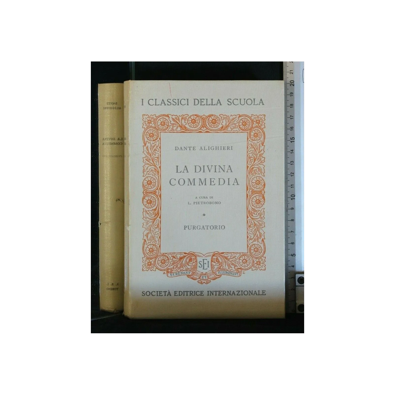 LA DIVINA COMMEDIA PURGATORIO