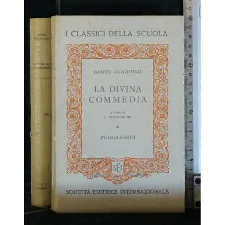 LA DIVINA COMMEDIA PURGATORIO
