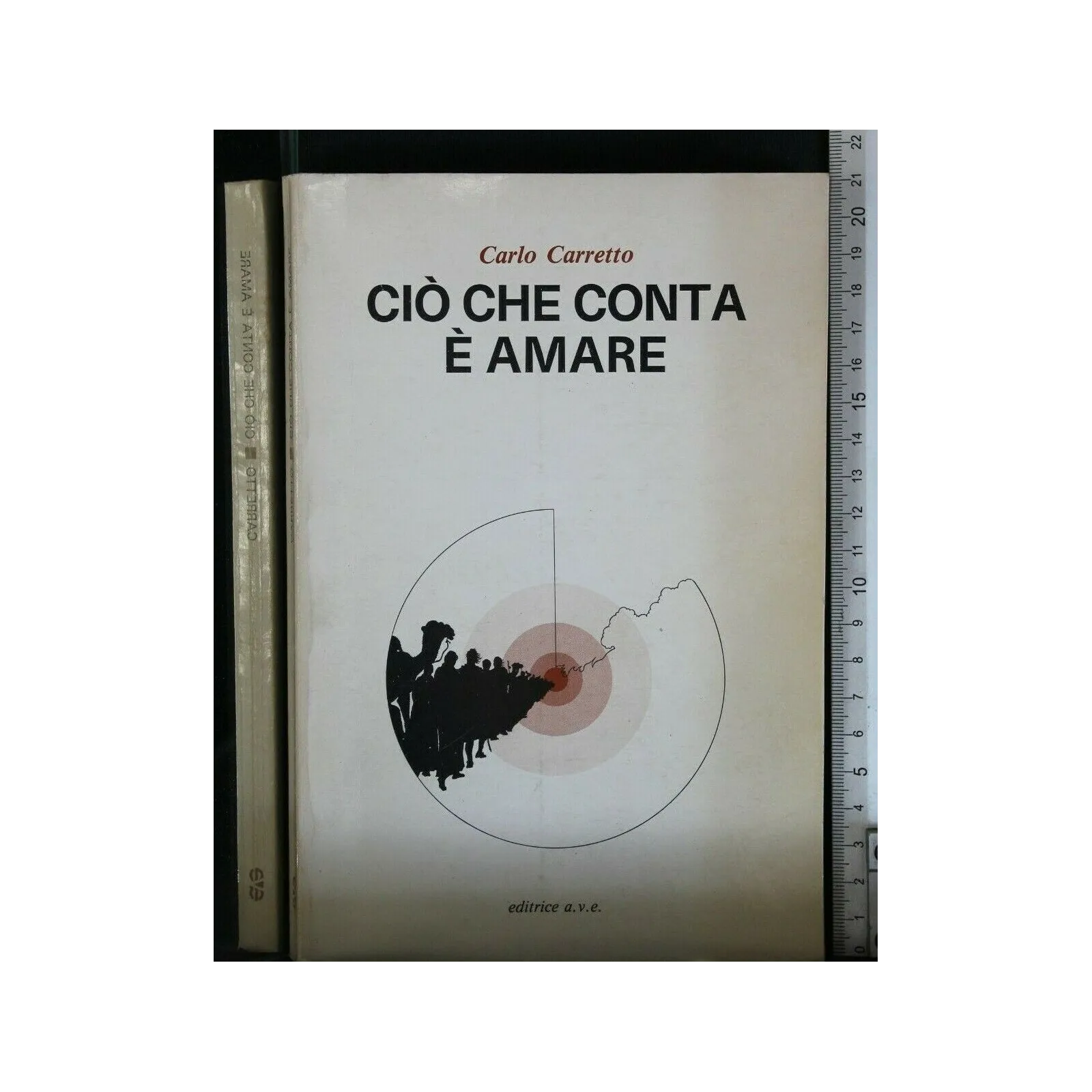 CIO' CHE CONTA E' AMARE