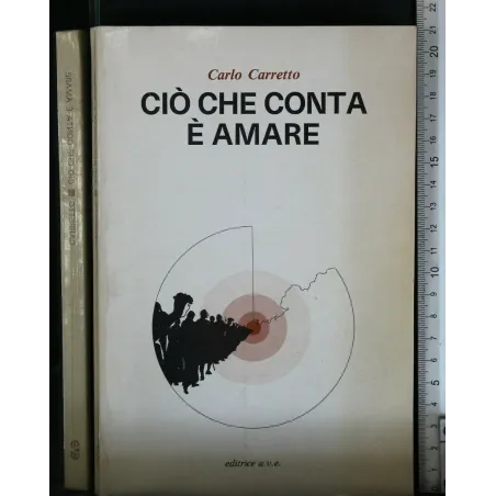 CIO' CHE CONTA E' AMARE