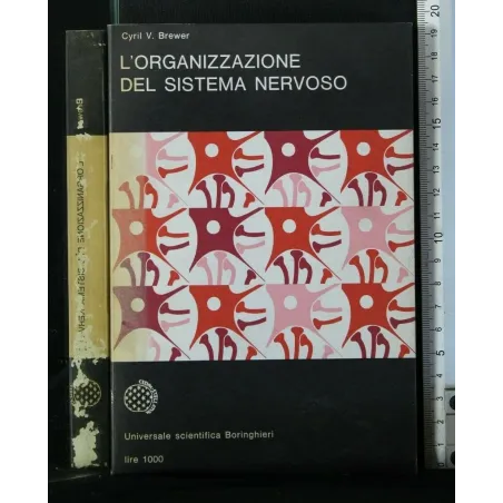 L'ORGANIZZAZIONE DEL SISTEMA NERVOSO