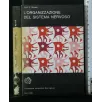 L'ORGANIZZAZIONE DEL SISTEMA NERVOSO