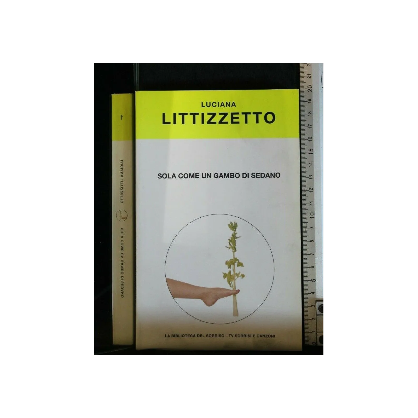 SOLA COME UN GAMBO DI SEDANO