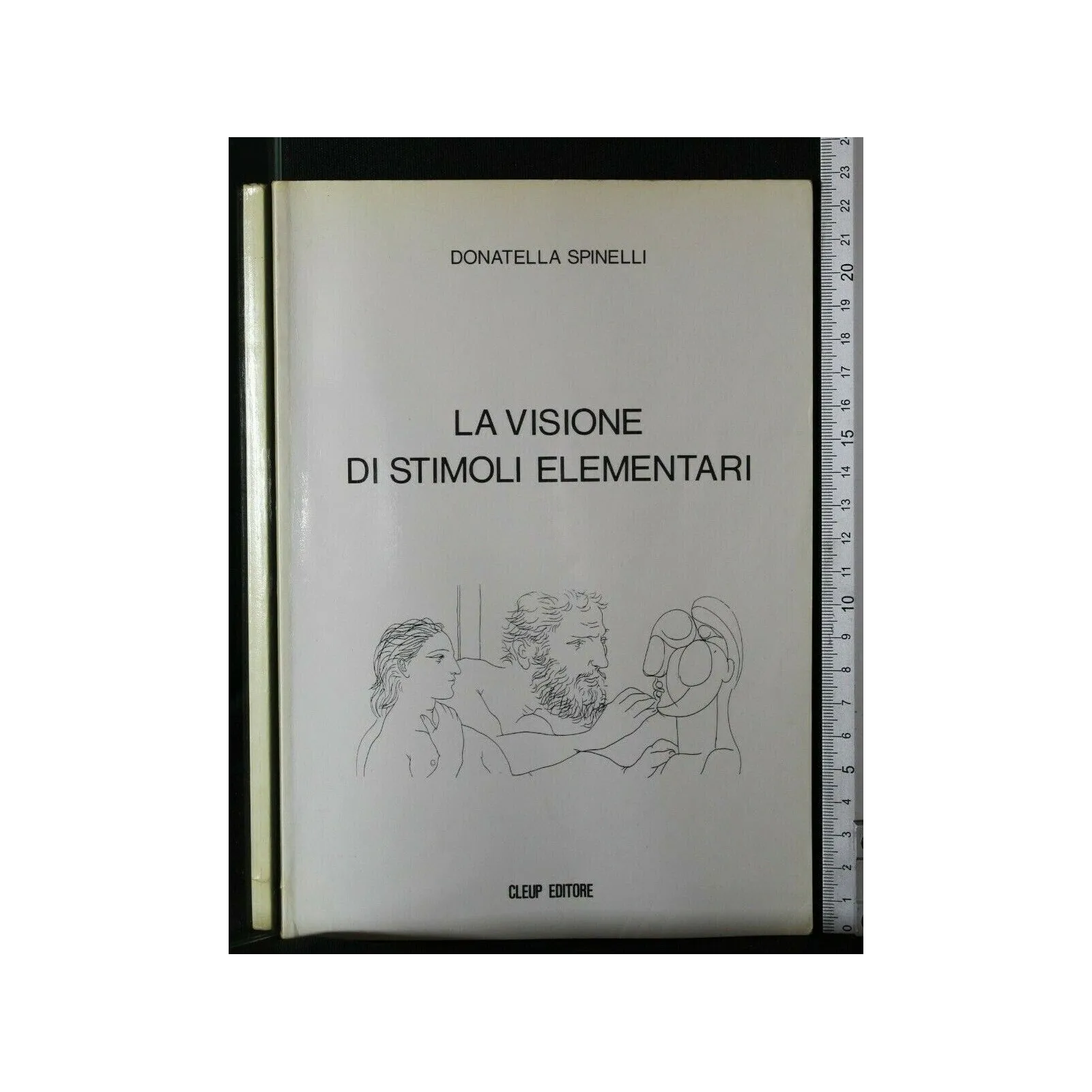 LA VISIONE DI STIMOLI ELEMENTARI