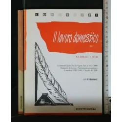 IL LAVORO DOMESTICO