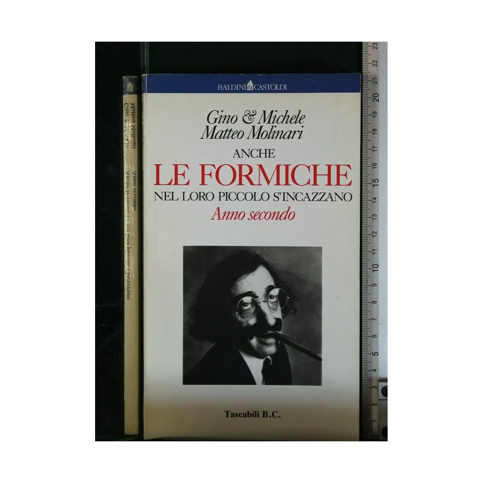 ANCHE LE FORMICHE NEL LORO PICCOLO S'INCAZZANO VOLUME SECONDO