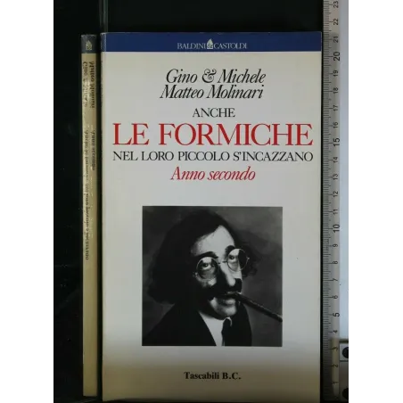 ANCHE LE FORMICHE NEL LORO PICCOLO S'INCAZZANO VOLUME SECONDO