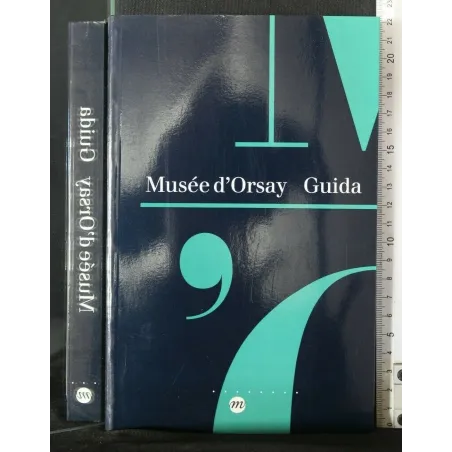 MUSEE D'ORSAY GUIDA