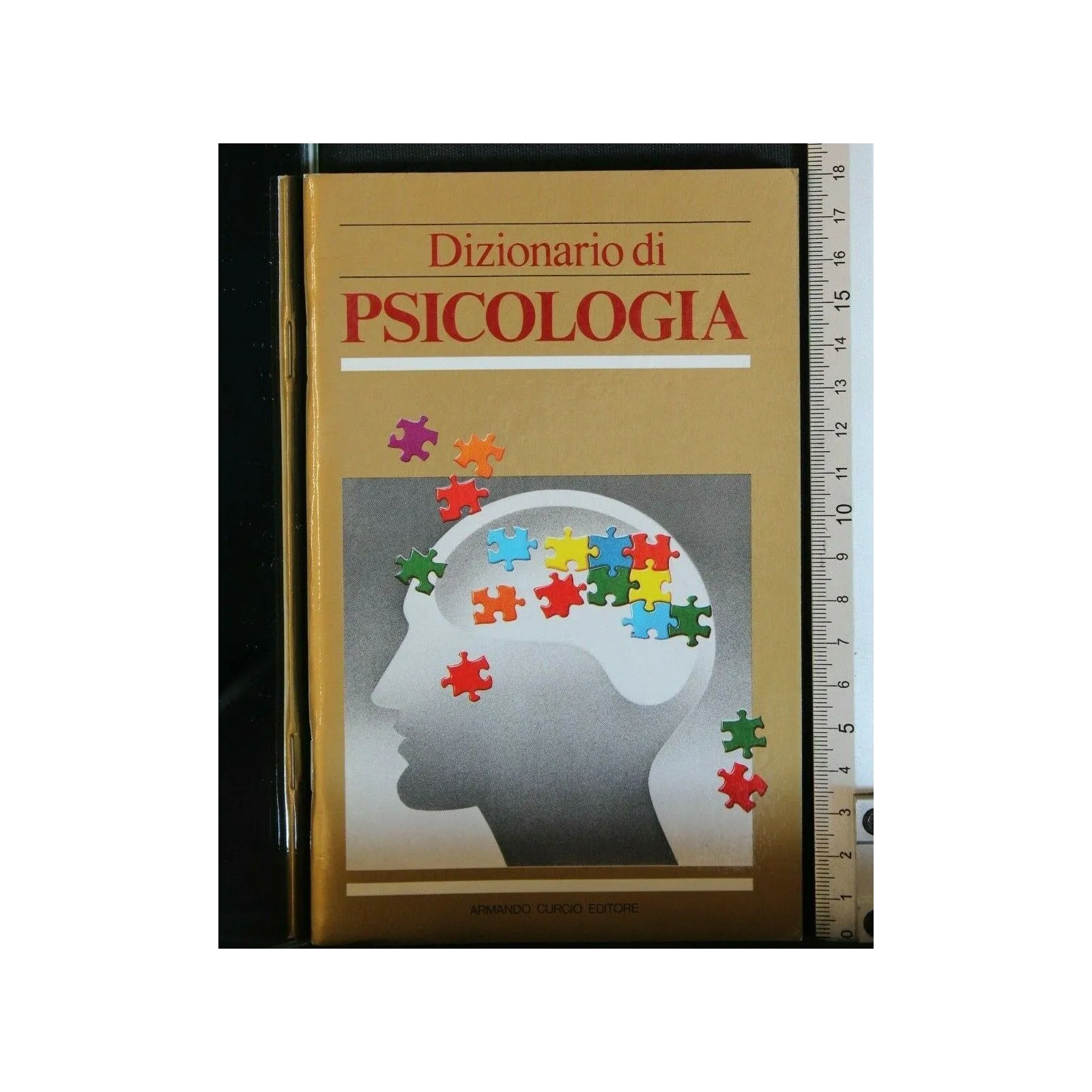 DIZIONARIO DI PSICOLOGIA