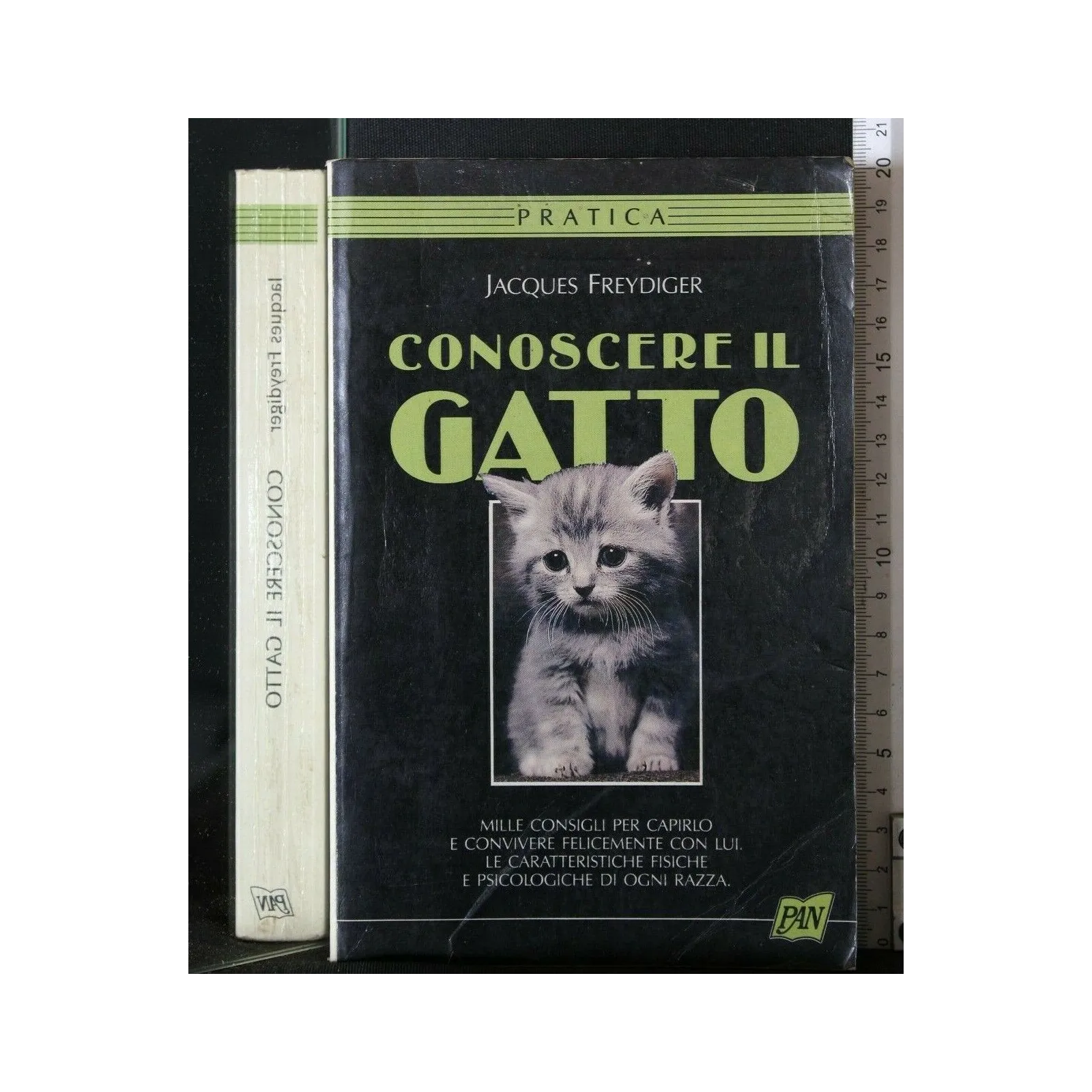 CONOSCERE IL GATTO