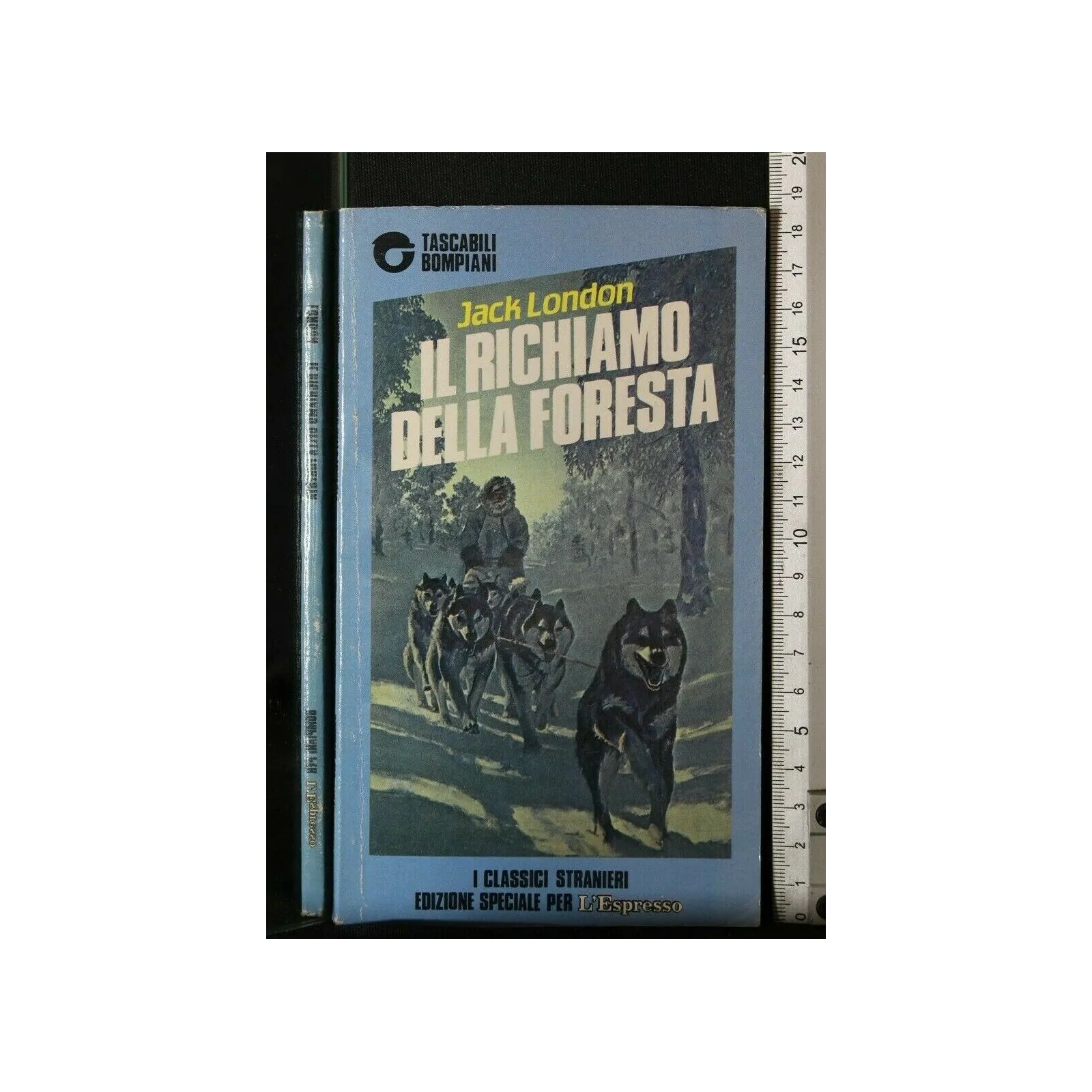 IL RICHIAMO DELLA FORESTA