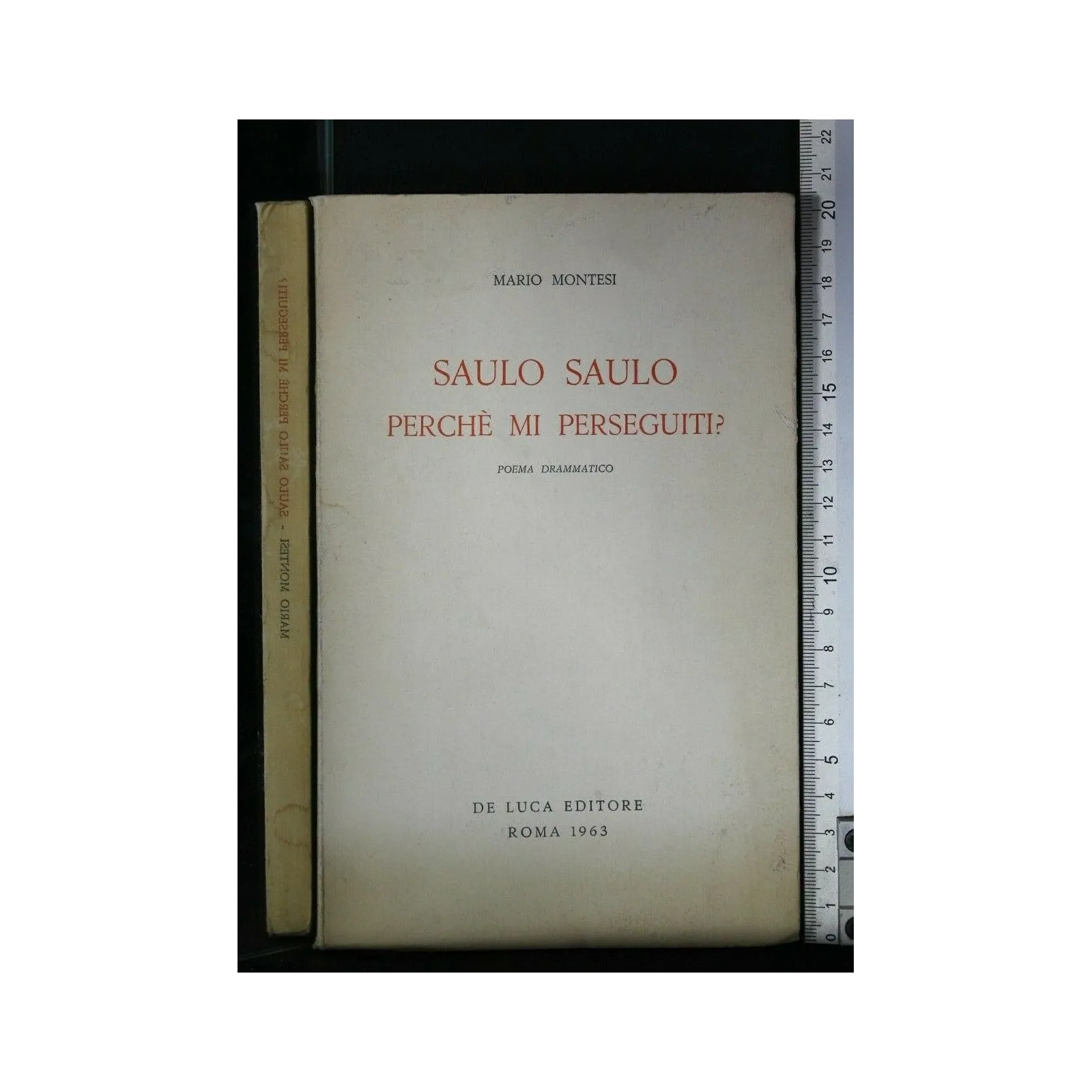 SAULO SAULO PERCHE' MI PERSEGUITI?