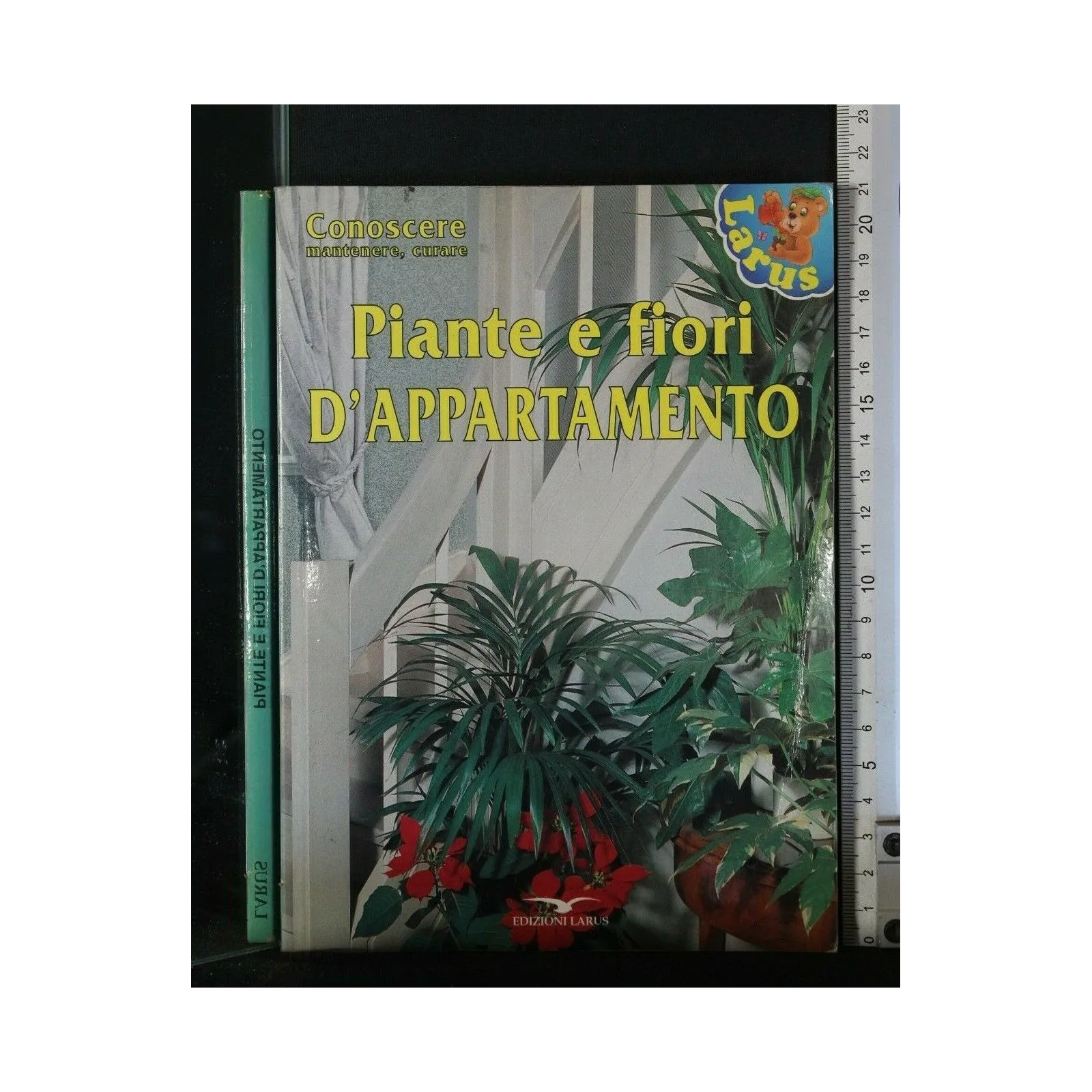 PIANTE E FIORI D'APPARTAMENTO
